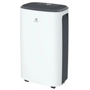 Осушитель воздуха Royal Clima CARISMA Loft RD-CR20-E